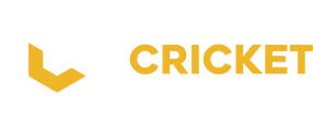 Mega Cricket World